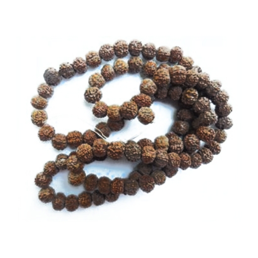 7 mukhi (Face) Rudraksha Beads String