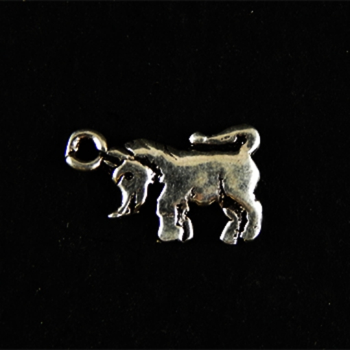 Sterling Silver Charm