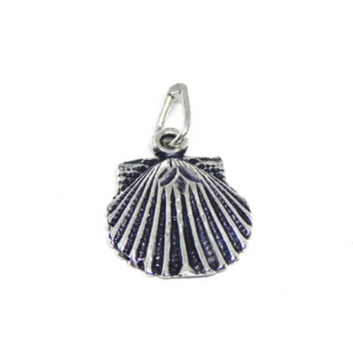 Shell Pendant
