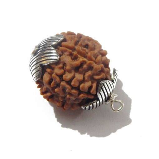 7 face rudraksha 