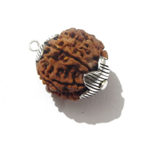 7 face rudraksha 