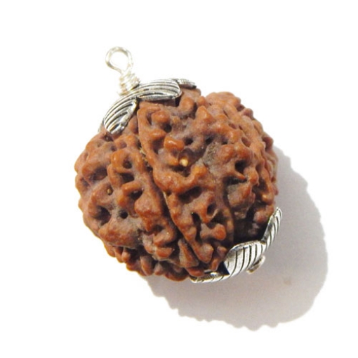Six Face Rudraksha Pendant