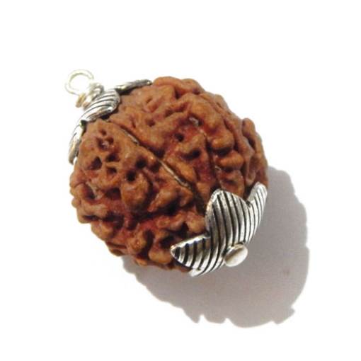 Six Face Rudraksha Pendant