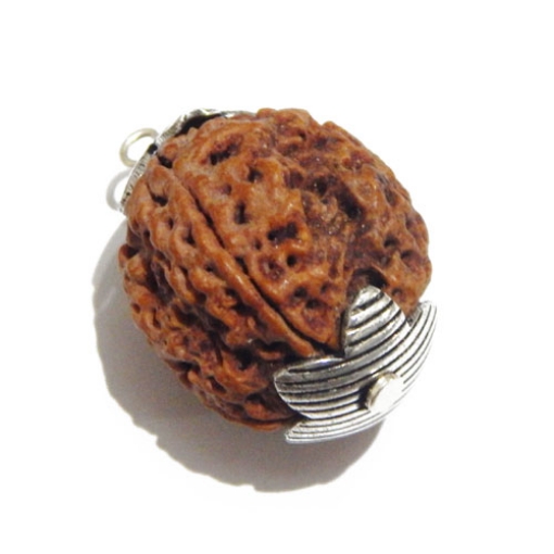 Four Face (Mukhi) Nepali Rudraksha Pendant