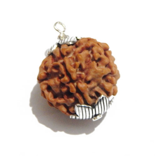 Six Face Rudraksha Pendant